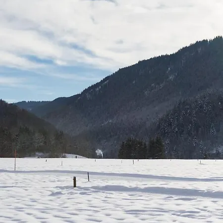 Deva Achentaler Vitalhotel 4*